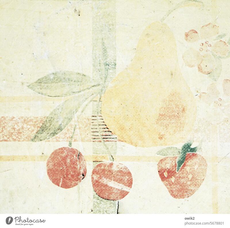 Dörrobst Tischdecke alt Wachstuch Dekoration & Verzierung Design Tischwäsche Detailaufnahme mehrfarbig Strukturen & Formen Obst Früchte Birne Kirschen Erdbeere