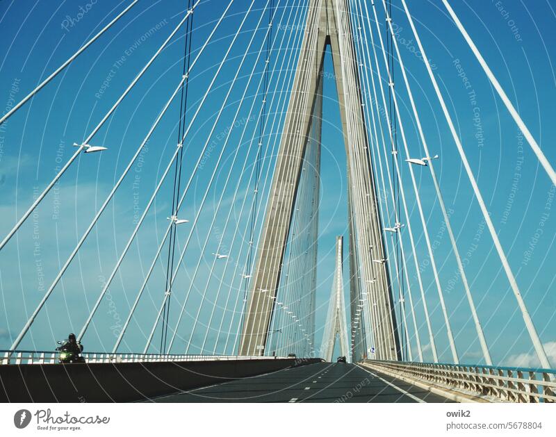 Ab ins Blaue Pont de Normandie luftig stabil Brückenkonstruktion modern aufstrebend Design Leichtigkeit Beton Pylon (Brückenbau) Konstruktion Sicherheitsnetz
