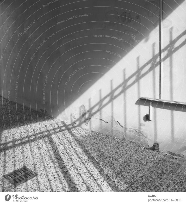 Beschränkter Zugang Pforte Tor Gitterzaun fest Schatten Metall abgesperrt Außenaufnahme Betreten verboten Absperrung Privatgelände unzugänglich Schwarzweißfoto