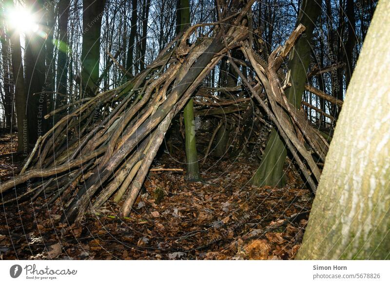 Kinder haben im Wald ein Lager gebaut Versteck Lager bauen Waldlager Äste Äste und Zweige Bäume Gegenlicht Waldstimmung Hütte provisorisch Freizeit