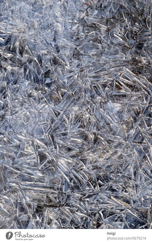 Eisstrukturen auf einer Pfütze Eiskristalle Winter Frost Kälte außergewöhnlich gefroren kalt frostig frieren winterlich Wintertag Jahreszeiten Menschenleer