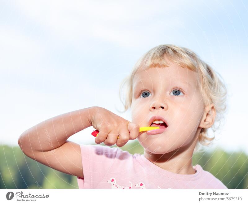 Kleines Mädchen beim Zähneputzen 2 Jahre blond Bürste bürstend Pflege Kaukasier Kind Kindheit Sauberkeit Reinigen niedlich täglich dental Gesicht Hand Kopf