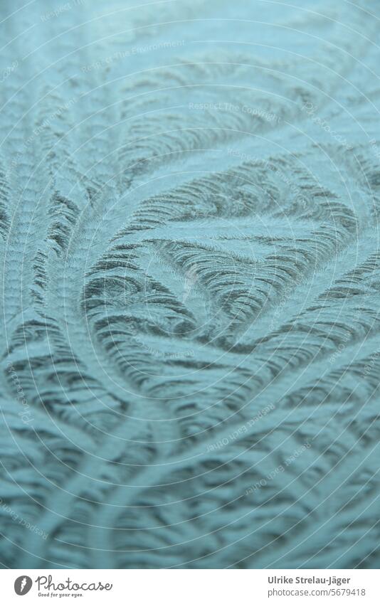 Eisornamente an einem frostigen Fenster Eisblume Eisblumen Frost kalt gefroren frieren Eiskristall Kristallstrukturen Kälte Eiskristalle Muster Strukturen