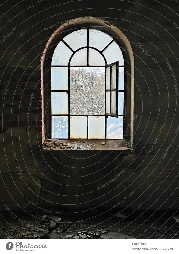 Das wunderschöne alte Fenster in einem Lost Place steht offen. Es ist kalt, draußen ist Winter. Ein wenig Schnee liegt noch auf den Bäumen. lost places