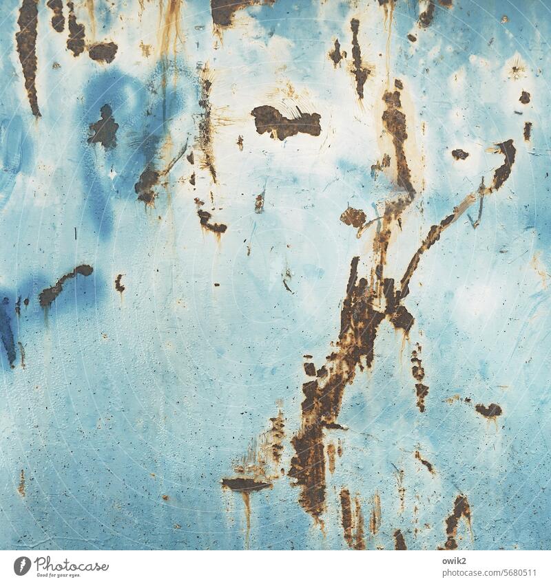Hände hoch Container blau Blech Rost alt Metall türkis Detailaufnahme Farbe abblättern Zahn der Zeit Oberflächenstruktur Nahaufnahme Rostflecke Abnutzung