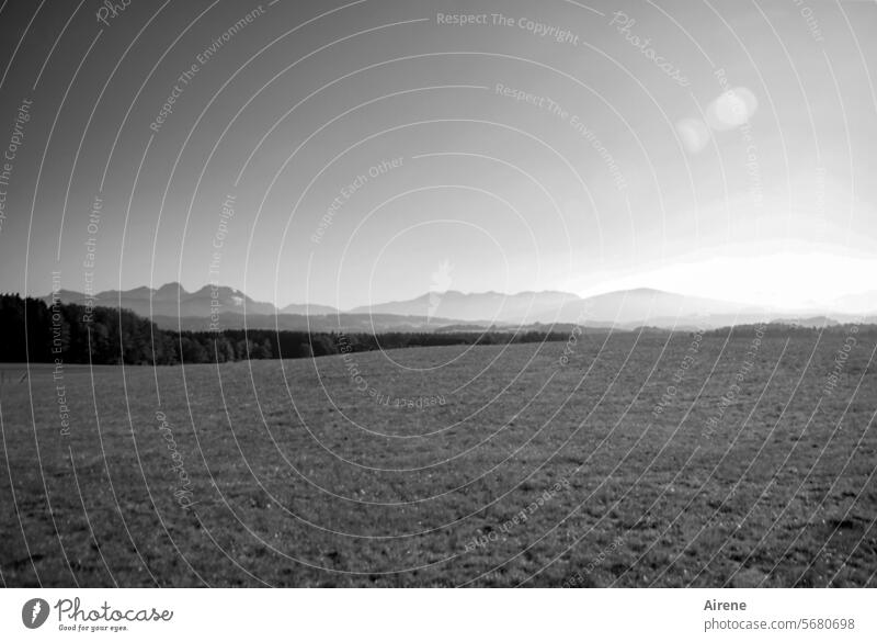 in weiter Ferne Totale Alpen Sonnenlicht Wiese Weitwinkel menschenleer friedlich Weite Frieden Landschaft Stille Natur Himmel Panorama (Aussicht) Schönes Wetter
