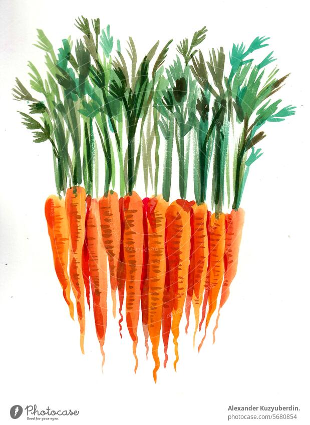 Ein Haufen Karotten. Aquarellmalerei Gemüse Lebensmittel Kunst Kunstwerk Zeichnung Skizze Wasserfarbe