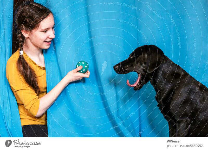 Das Mädchen schlägt dem Hund ein Ballspiel vor, aber er ist müde Freunde spielen gähnen lachen anregen lustug Vorhang zusammen Kind Kindheit verspielt