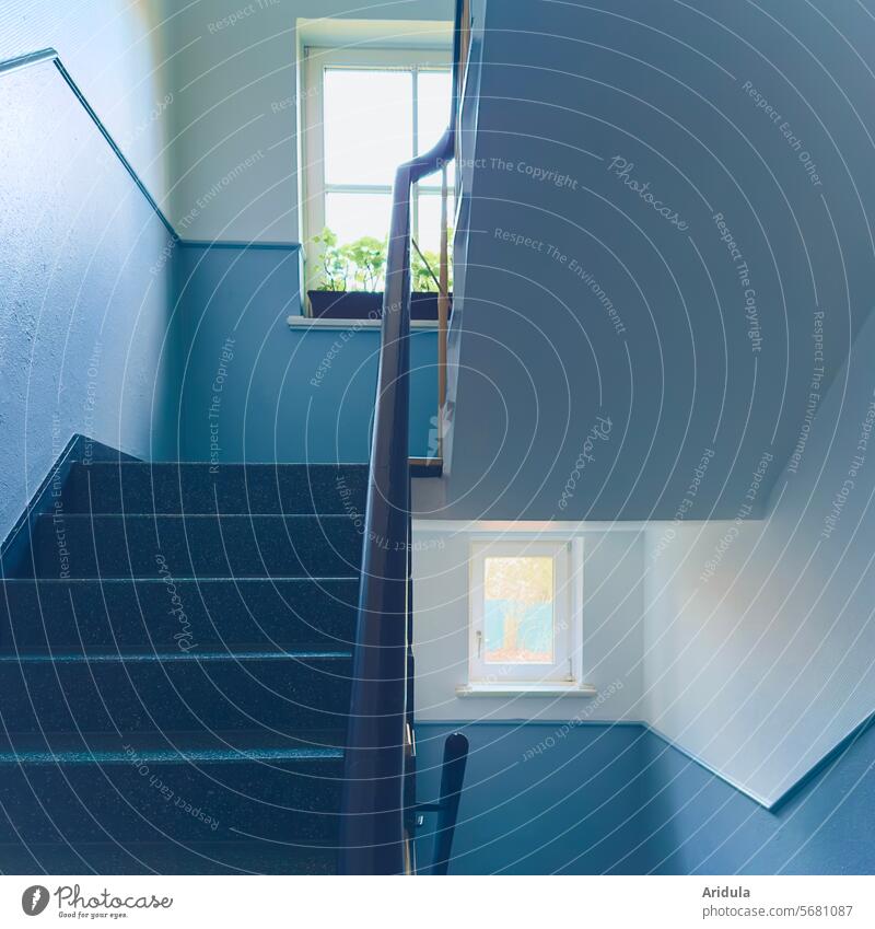 Licht im Treppenhaus Haus Wohnhaus Mehrfamilienhaus Fenster 50er Jahre Treppengeländer Miethaus Stufen grau blau Geranien