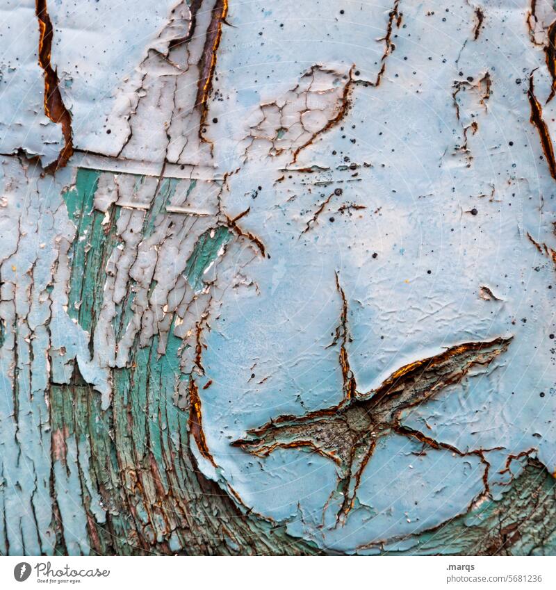 Sternhagelblau Muster Holzmaserung Strukturen & Formen Maserung Holzstruktur alt Textur verwittert Oberfläche sternförmig Nahaufnahme Lack abblättern