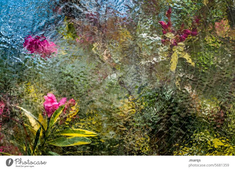Gärtnerei Milchglas grün rot Stimmung geheimnisvoll Frühling Romantik Gewächshaus unklar Blühend Blatt Farbe Sommer Muster Blütenblatt Fenster mehrfarbig