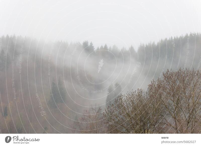 Nach dem Regen steigen Nebelschleier aus den Wäldern im Wiesental bei Schopfheim im Schwarzwald auf CO²-Vermeidung Verbot von Verbrennungsmotoren Diesel h2o