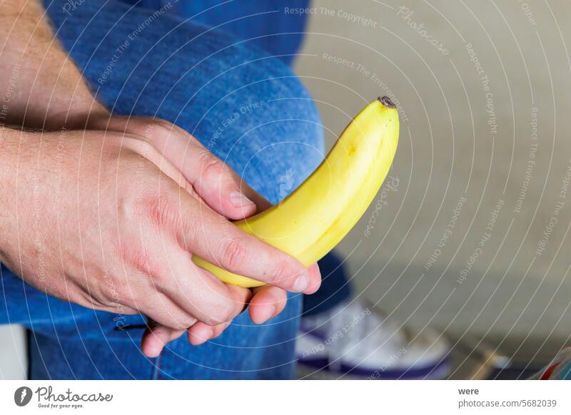 Männliche Hand eines kaukasischen Mannes, der eine ungeschälte Banane zwischen den Beinen hält Kaukasier gekrümmt essen Lebensmittel Frucht Gesundheit