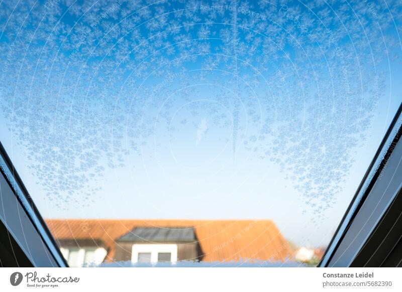 Kleine Eisblumen am Dachfenster Ausblick Winter Fenster winterliche kalt Frost frostig Sonnenschein blau Wintertag Jahreszeiten Eiskristall Kälte gefroren