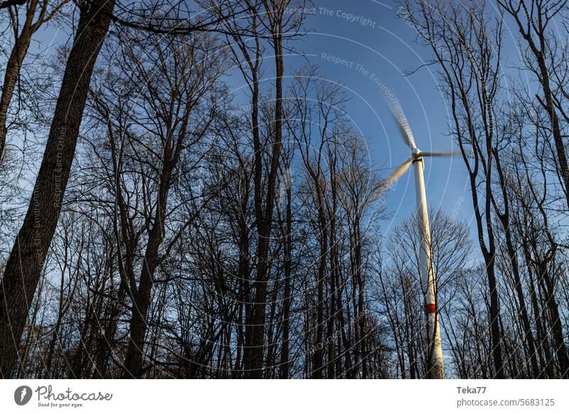 eine moderne Windkraftanlage, die sich hinter Waldbäumen dreht Windenergie Morgenwind saubere Energie Video einer Windkraftanlage Morgenfarben Energie-Video
