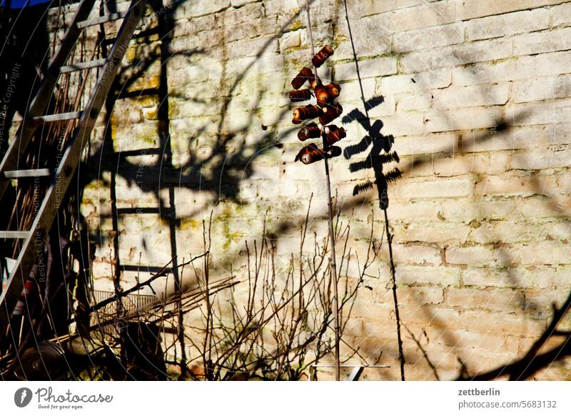 Weiße Wand mit Leiter ast erholung ferien friost garten hecke kleingarten kleingartenkolonie menschenleer nachbarschaft natur pflanze ruhe saison schrebergarten
