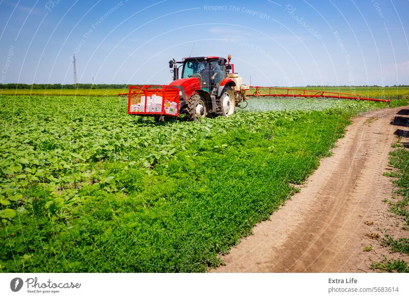 Traktor beim Besprühen eines Sonnenblumenfeldes, im Wind winkend, mit Sprühgerät, Herbizid und Pestizid Aerosol landwirtschaftlich Ackerbau Agronomie