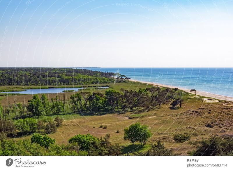 Luftaufnahme der Landschaft an der Ostseeküste im Nationalpark Vorpommersche Boddenlandschaft, Deutschland Darß Luftbild von oben Textfreiraum Naturschutz
