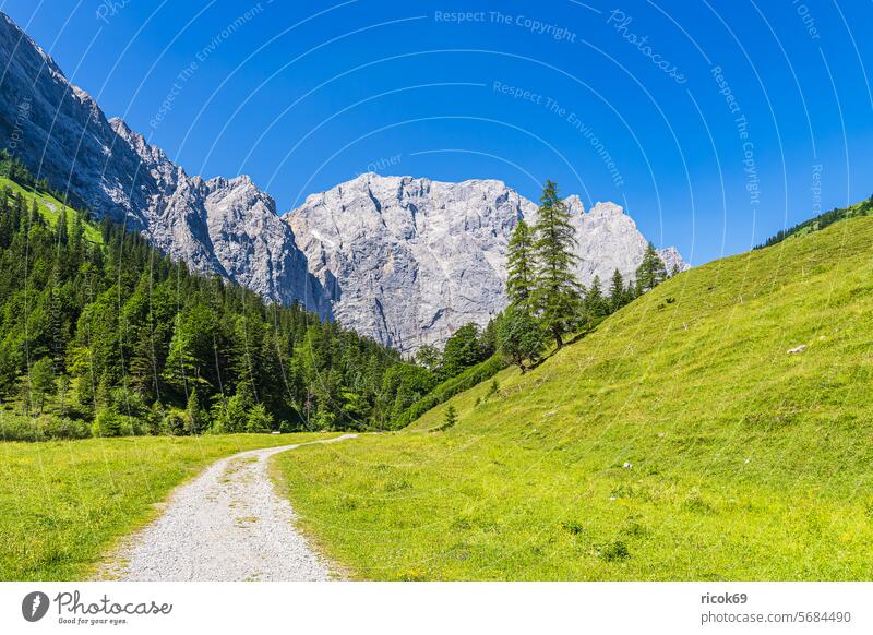 Landschaft mit Wanderweg im Rißtal nahe der Eng Alm in Österreich Alpen Gebirge Karwendel Tirol Berg Weg Engtal Natur Gipfel Sommer Vomp Schwaz Baum Wald Wiese