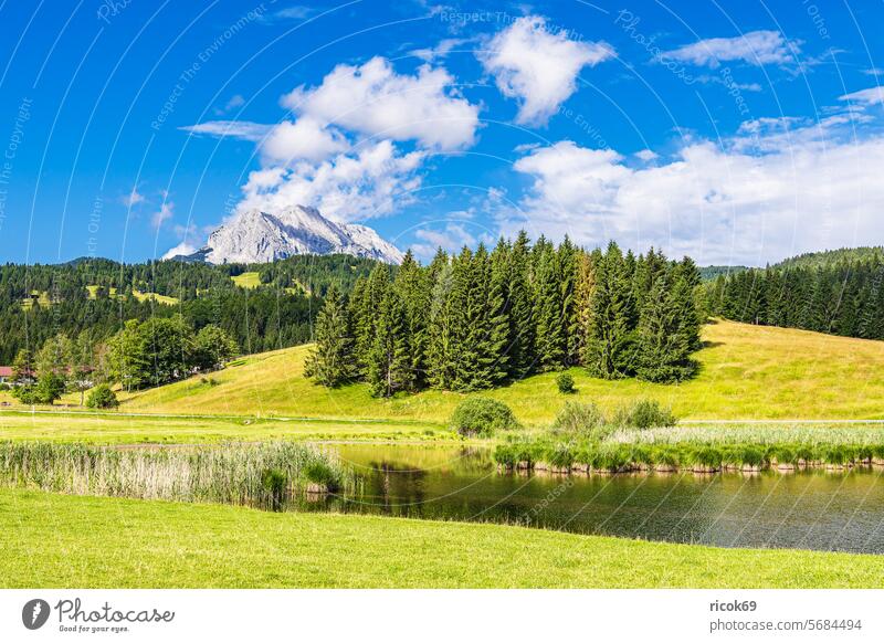 Landschaft mit See und Wettergebirge nahe Mittenwald in Bayern Alpen Gebirge Schmalensee Natur Krün Landkreis Garmisch-Partenkirchen Berg Sommer Baum Wald Gras