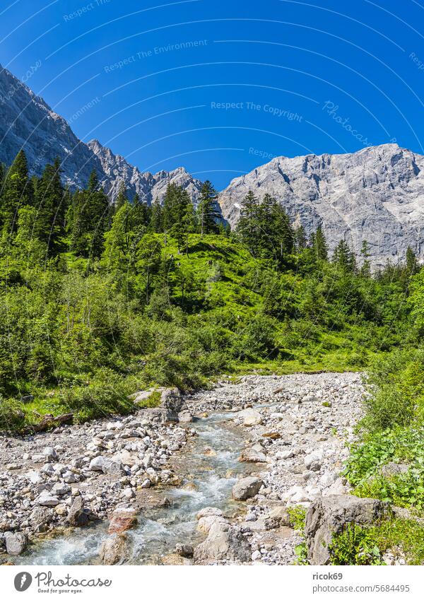 Landschaft  im Rißtal bei der Eng Alm in Österreich Alpen Gebirge Karwendel Tirol Berg Engtal Rißbach Bach Vomp Schwaz Natur Gipfel Sommer Baum Wald Wolken
