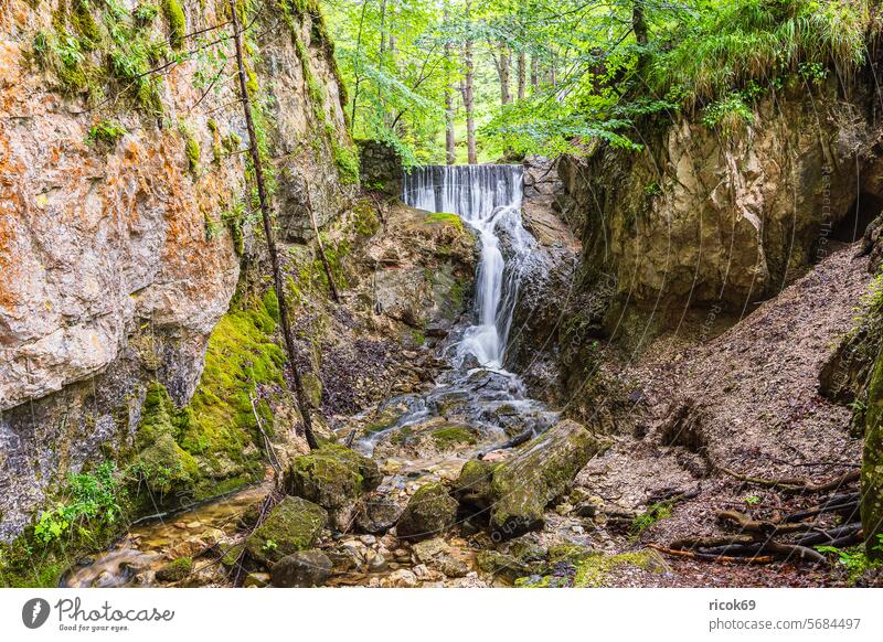 Blick auf den Lainbach Wasserfall bei Mittenwalde in Bayern Laintal Alpen Gebirge Wettersteingebirge Fluss Felsen Landschaft Natur Baum