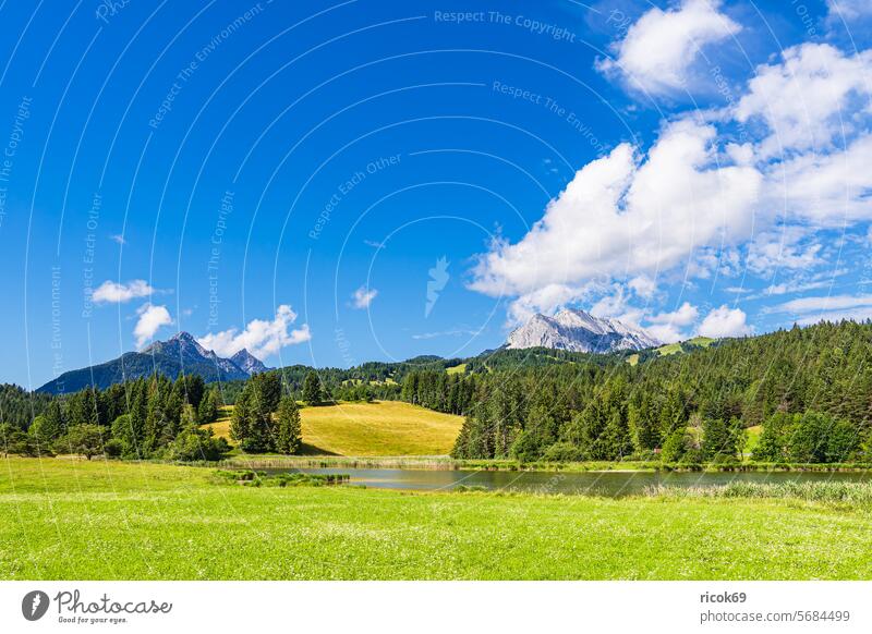 Landschaft am Schmalensee nahe Mittenwald in Bayern Alpen Gebirge Natur See Krün Wettergebirge Karwendel Landkreis Garmisch-Partenkirchen Berg Sommer Baum Wald