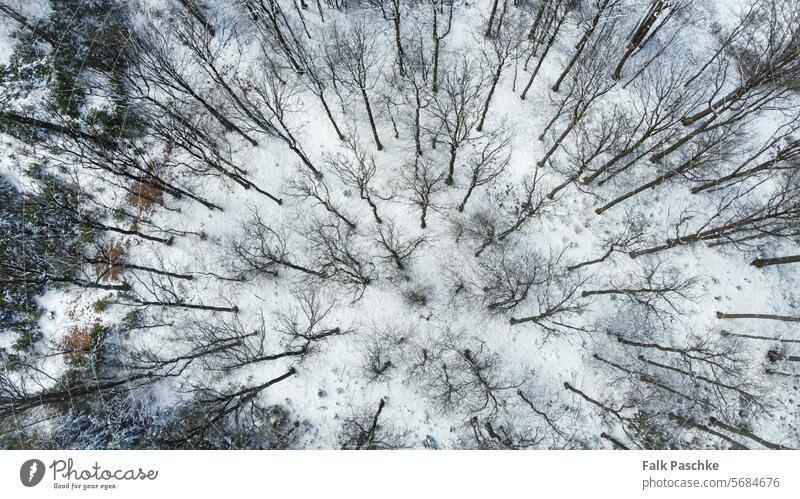 Ein Drohnenflug am Sonntag im winterlichen Spessart - Deutschland Wetter Winter Schnee von oben nach unten Landschaft Drohnenansicht Schneefall im Freien Wälder