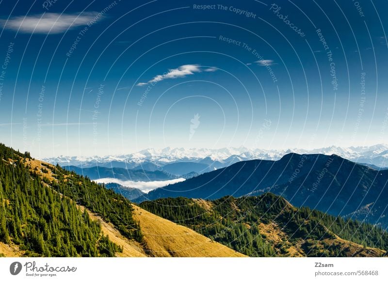 Rotwand Aussicht Ausflug Berge u. Gebirge wandern Natur Landschaft Himmel Herbst Wald Alpen gigantisch nachhaltig blau gelb grün Freiheit Idylle Perspektive