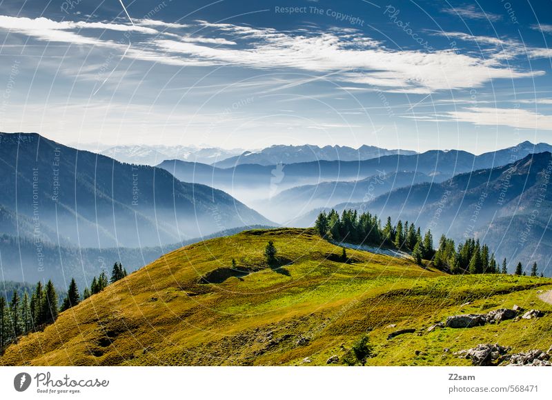 Gute Aussichten Ferien & Urlaub & Reisen Berge u. Gebirge wandern Natur Landschaft Himmel Herbst Schönes Wetter Wiese Wald Alpen Gipfel frisch Unendlichkeit