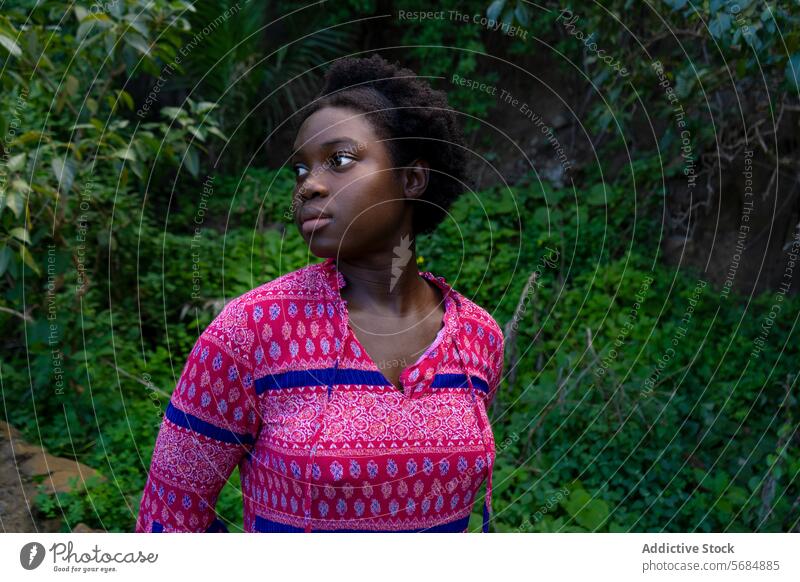Ruhige junge schwarze Frau im grünen Wald stehend selbstbewusst allein Hügel Park Laubwerk nachdenklich Windstille Natur ethnisch Afroamerikaner lässig