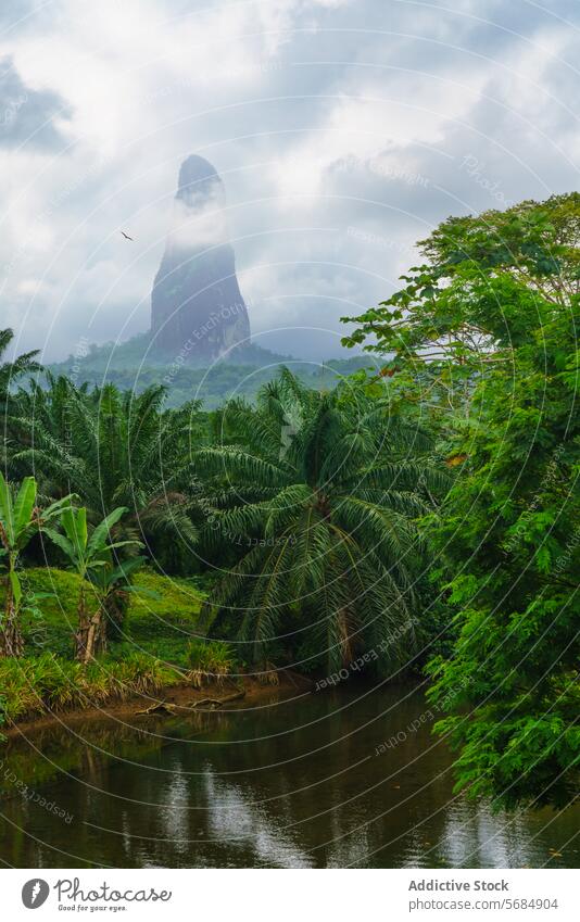 Majestätischer Blick auf den Pico Cão Grande in üppiger Vegetation pico cão grande Landschaft tropisch Fluss Reflexion & Spiegelung launischer Himmel