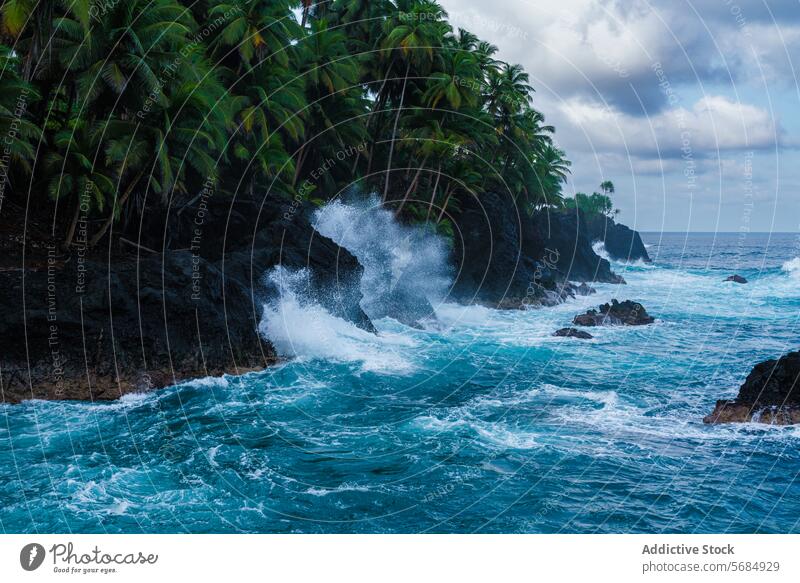 Die Wellen brechen an der zerklüfteten Küste von Praia Jalé winken zusammenbrechend robust Uferlinie türkis Meer vulkanisch Felsen Palme grün üppig (Wuchs)