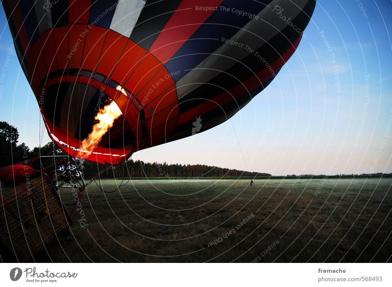 Ballon Lifestyle Freude Freizeit & Hobby Ferien & Urlaub & Reisen Ausflug Abenteuer Freiheit Landschaft Himmel Wolkenloser Himmel Wiese fahren fliegen