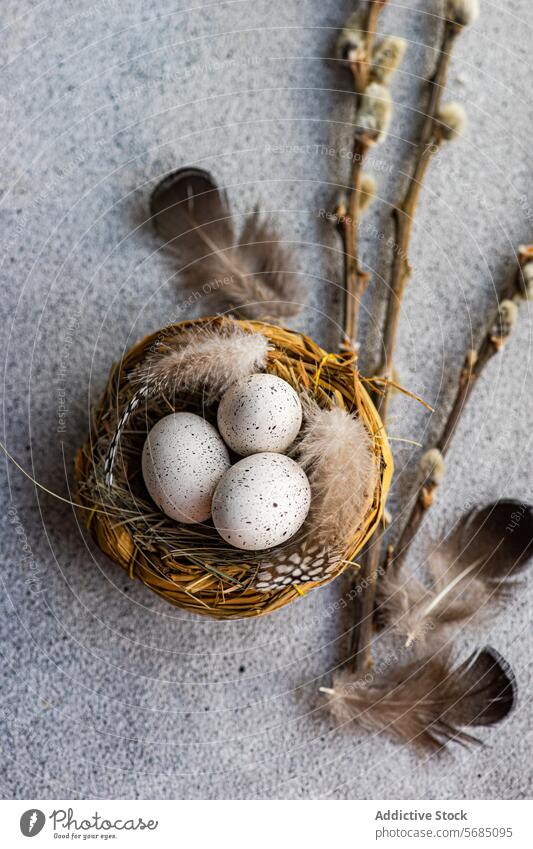Von oben von einem Flatlay zum Thema Ostern, das ein Nest mit gesprenkelten Eiern zeigt, umgeben von weichen Federn und Weidenzweigen auf einem strukturierten Hintergrund
