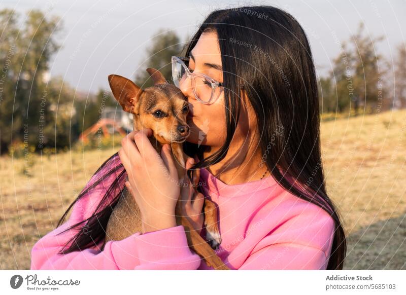 Junge Frau küsst süßen Chihuahua-Hund Kuss Umarmung chihuahua Landschaft Pullover Brille heiter Dame Besitzer Herbst jung Zusammensein Tier Glück Haustier Welpe