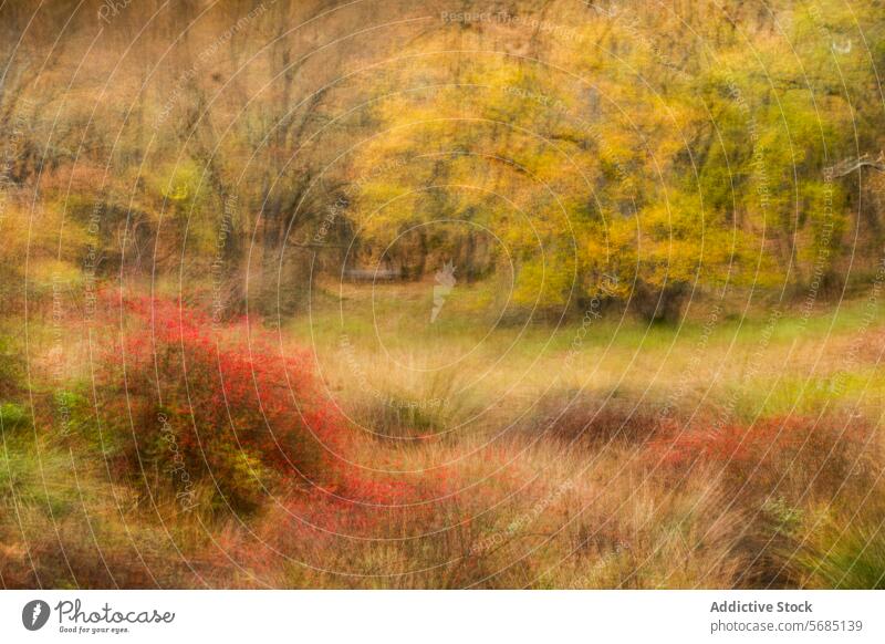 Impressionistische Herbstszene mit Feldern und Eichenwald Landschaft impressionistisch verträumt rot Flora Bodenbearbeitung Wald Gelassenheit pulsierend golden