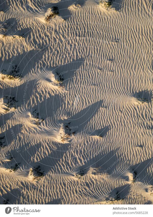 Nahaufnahme aus der Vogelperspektive, die die strukturierten Muster der Dünen von Corralejo im weichen Licht von Fuerteventura einfängt Antenne Textur Dunes