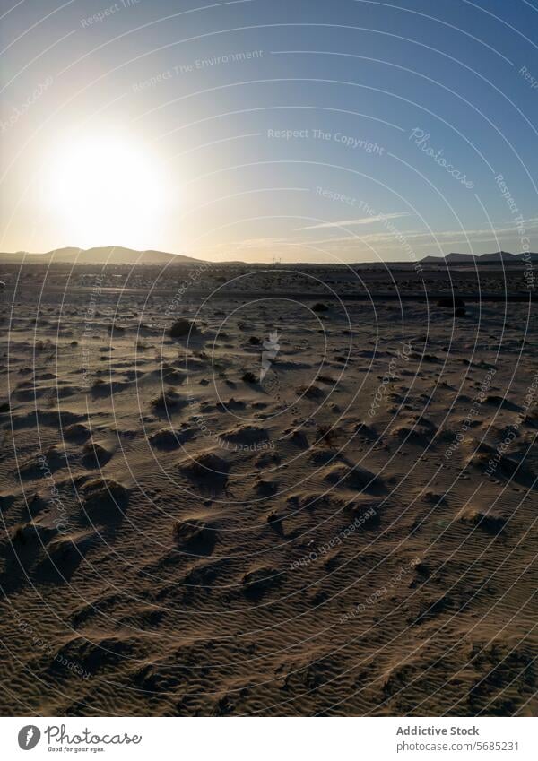 Der Sonnenuntergang wirft lange Schatten über die strukturierte Landschaft der Corralejo-Dünen auf Fuerteventura Textur Dunes Sand ruhig natürlich Schönheit