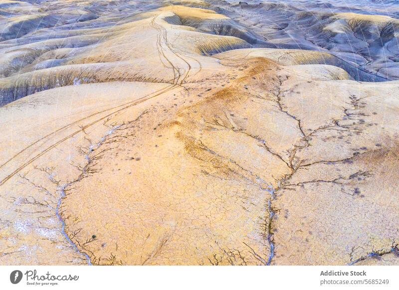 Luftaufnahme eines strukturierten Wüstengeländes mit komplizierten Erosionsmustern und Pfaden in Utah, das eine Mischung aus goldenen und grauen Farbtönen aufweist