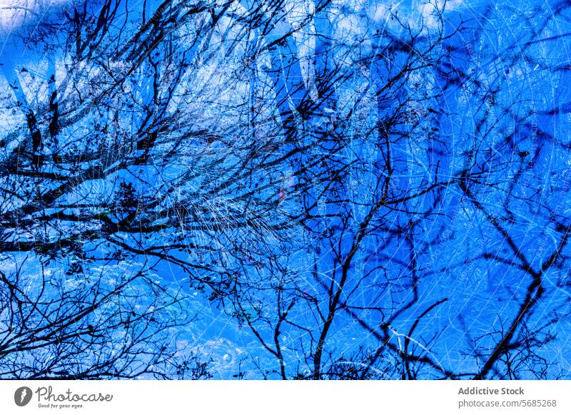 Eine komplexe Überlagerung kahler Baumzweige in einem kühlen Blauton, die eine strukturierte und abstrakte Winterszene schafft Ast Überzug blau strukturell