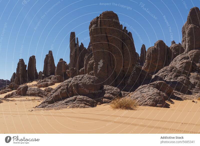 Majestätische Felsformationen in Tassili N'Ajjer wüst Felsen Formation Höhepunkt Sand golden Algerien Landschaft Geologie Naturwunder schlicht Schönheit robust