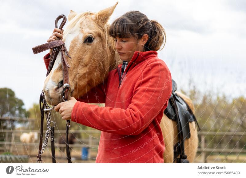 Frau bereitet ihr Pferd zum Reiten vor Erwachsener Tier schön Zaumzeug braun Pflege Kaukasier Nahaufnahme Konkurrenz Dressur Reiterin pferdeähnlich Gerät
