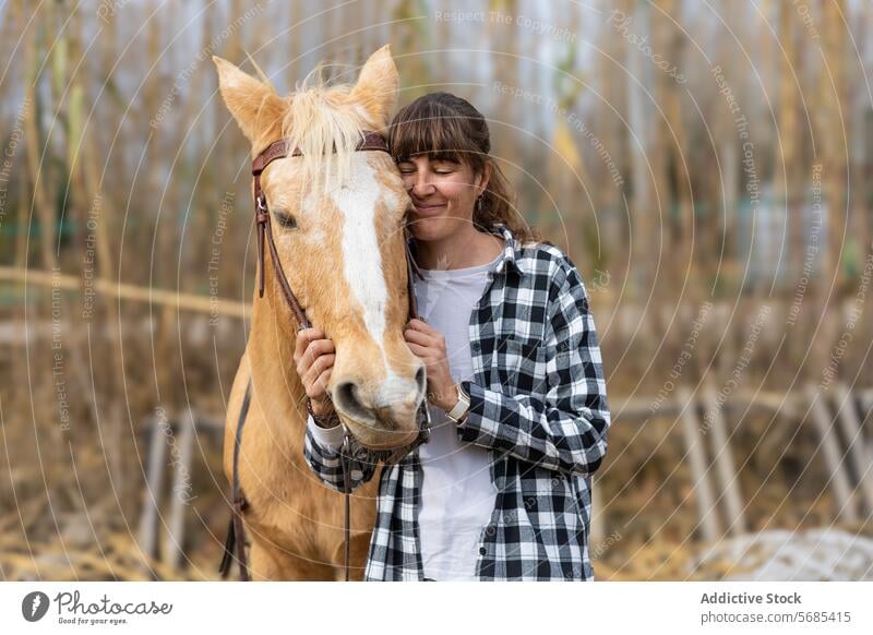 Porträt einer Frau mit ihrem hübschen Pferd, bereit zum Reiten Erwachsener Tier schön Zaumzeug braun Pflege streichelnd Kaukasier Nahaufnahme Dressur Reiterin