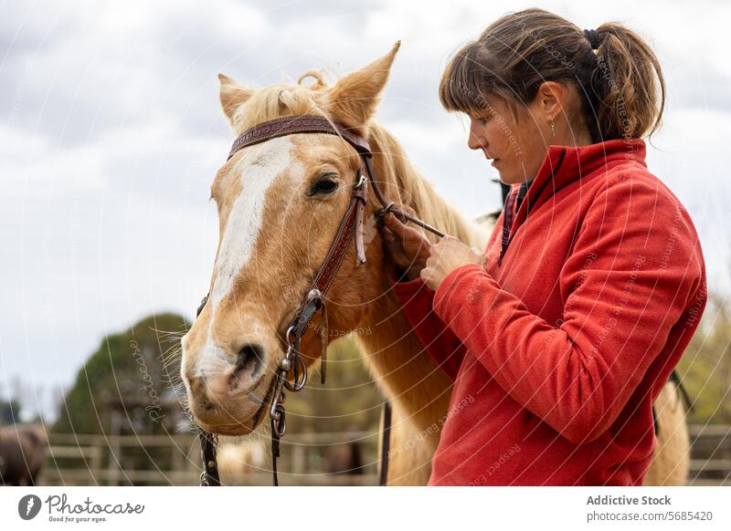 Frau bereitet ihr Pferd zum Reiten vor Erwachsener Tier schön Zaumzeug braun Pflege Kaukasier Nahaufnahme Konkurrenz Dressur Reiterin pferdeähnlich Gerät