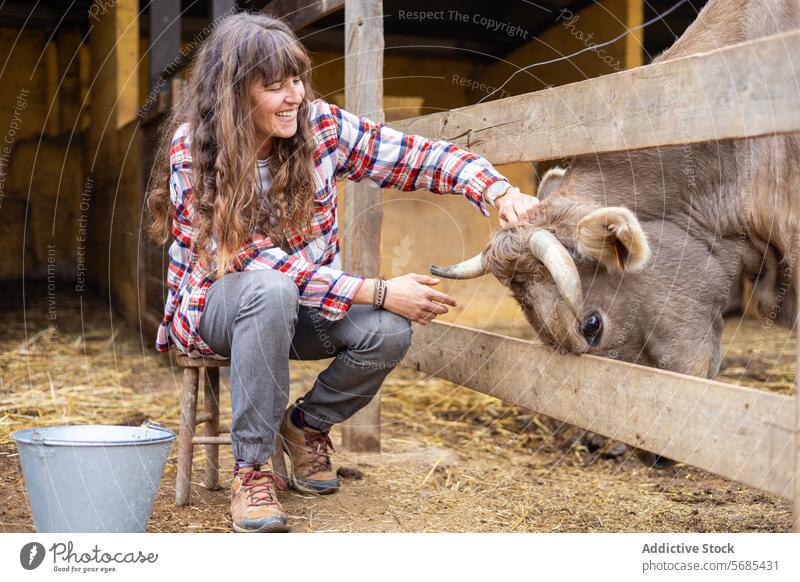 Glückliche Bäuerin mit einer Milchkuh auf einem ländlichen Bauernhof Erwachsener Ackerbau Tier Scheune Brünette der Pyrenäen Business Wade Pflege Streicheln