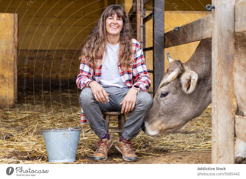 Glückliche Bäuerin mit einer Milchkuh auf einem ländlichen Bauernhof Erwachsener Ackerbau Tier Scheune Brünette der Pyrenäen Business Wade Pflege Streicheln