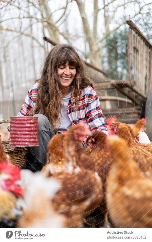 Bäuerin füttert Hühner auf einem Bauernhof im Freien Erwachsener Ackerbau Tier Hinterhof Schnabel Vogel Zucht braun Pflege Kaukasier Müsli Hähnchen Mais Land