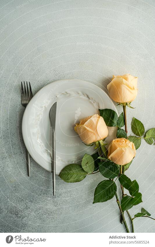 Elegant gedeckter Esstisch mit zarten Rosen Tisch Einstellung Roséwein Teller Silberwaren Besteck Sonnenlicht Schatten geblümt Dekoration & Verzierung Blume