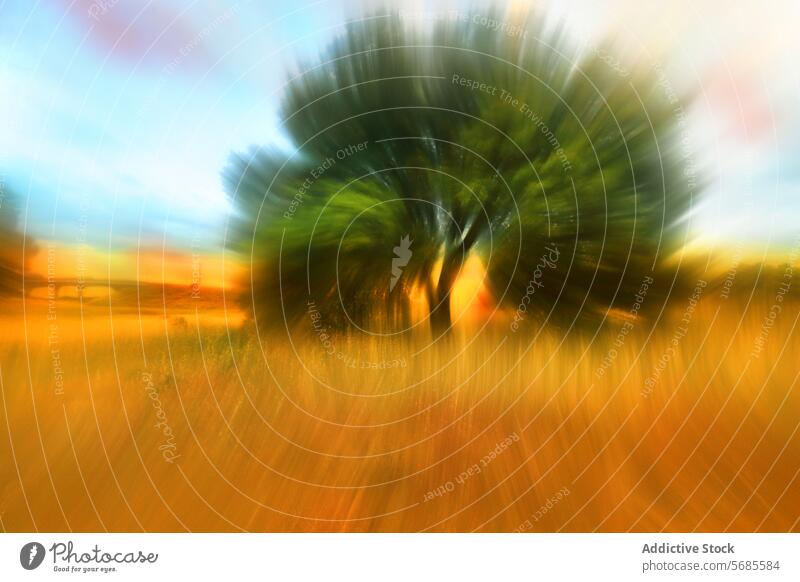 Abstrakte Unschärfe eines einsamen Baumes in einem leuchtenden Feld abstrakt pulsierend Farbe Bewegung künstlerisch einsamer Baum Strahlkraft Natur Landschaft